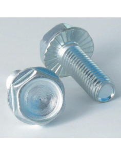 Self Tapping Screw Hexagonal Head Flange With Serration...