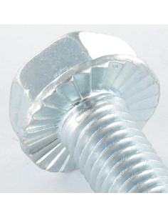 Self Tapping Screw Hexagonal Head Flange With Serration... 2