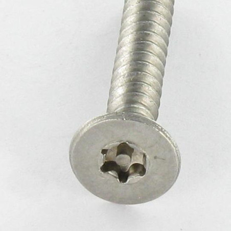 1 x Thread Rolling Screw Security Stainless Steel A2 Countersunk Head T15+TETON 3.5X13