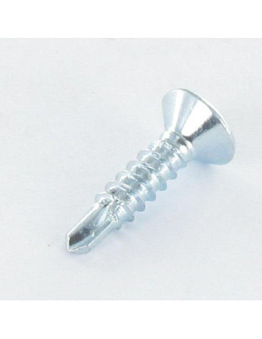 1 x SELF DRILLING COUNTERSUNK HEAD EMP CAR...