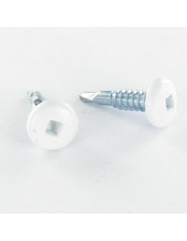 1 x SELF DRILLING PAN HEAD EMPR CAR 4.2X19 ZINC...