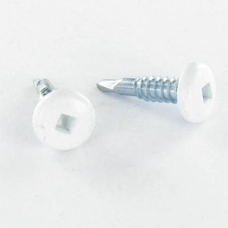 1 x SELF DRILLING PAN HEAD EMPR CAR 4.2X19 ZINC PLATED RAL9010/PURE WHITE