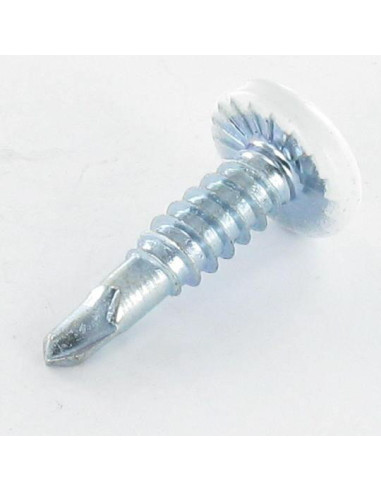 1 x SELF DRILLING PAN HEAD EMPR CAR 4.2X19 ZINC...