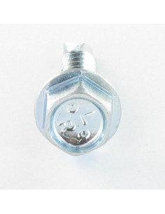 FASTOVIS Hexagonal Head 6.3X105 Zinc Plated 2