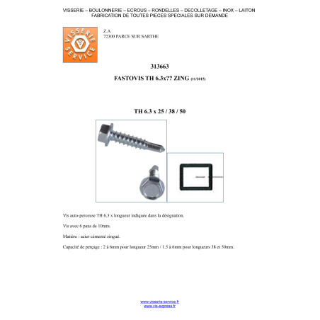 1 x FASTOVIS Hexagonal Head 6.3X105 Zinc Plated