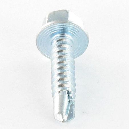 1 x FASTOVIS Hexagonal Head 4.8X19 Zinc Plated