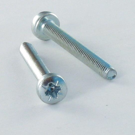1 x Self Tapping Screw wide domed head M6X20 Pozi PZ3 Zinc Plated