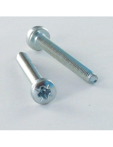 1 x Self Tapping Screw wide domed head M6X16...