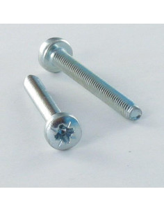 Self Tapping Screw wide domed head M5X12 Pozi PZ2 Zinc...