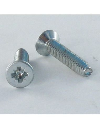 1 x Self Tapping Screw Countersunk Head Pozi...