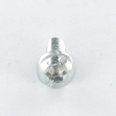 1 x Self Tapping Screw Pan Head Torx Thread Length: Slotted 4X10 With Serration Zinc Plated