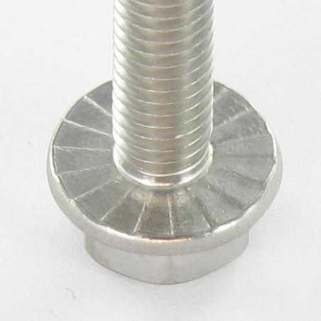1 x Machine Screw Hexagonal Head Flange With Serration M6X10 Stainless Steel A2