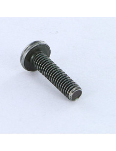 Machine Screw Large Pan Head Slotted M4X16 Zinc Plated... 2