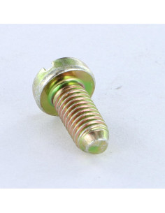 Machine Screw Large Pan Head Slotted M5X12 BP Yellow Zinc 2