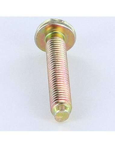 1 x Machine Screw Large Pan Head Slotted M6X35...