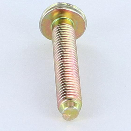 1 x Machine Screw Large Pan Head Slotted M6X35 BP Yellow Zinc