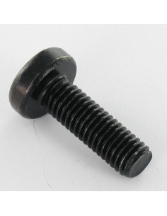 Machine Screw Large Pan Head M4X8 T20 Black Zinc Plated 2