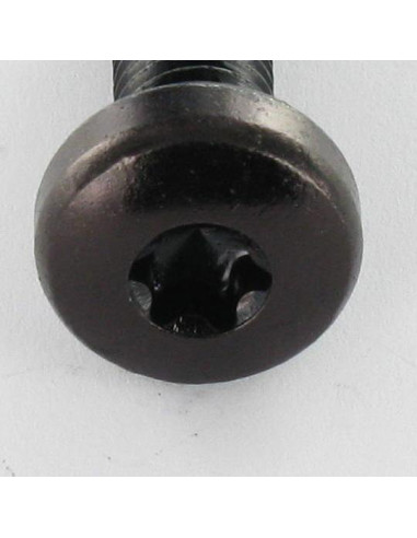 1 x Machine Screw wide domed head M4X8 T20...