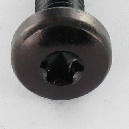 1 x Machine Screw Large Pan Head M4X8 T20 Black Zinc Plated