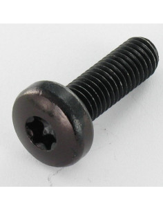 Machine Screw wide domed head M4X16 T20 Black Zinc Plated