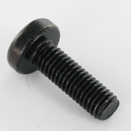 1 x Machine Screw wide domed head M4X16 T20 Black Zinc Plated