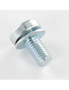 Machine Screw Large Pan Head T25/FEND M5X9+RD.IMPER Zinc... 2