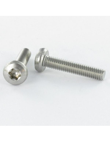 1 x Machine Screw wide domed head T30 M6X12...