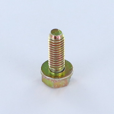 1 x Machine Screw Hex Head Slotted M6X18 With Washer Yellow Zinc