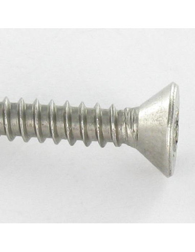 1 x Thread Rolling Screw Security Stainless...