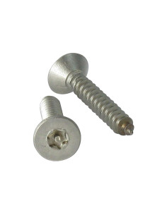 Thread Rolling Screw Security Stainless Steel A2...