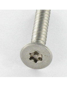 Thread Rolling Screw Security Stainless Steel A2... 2