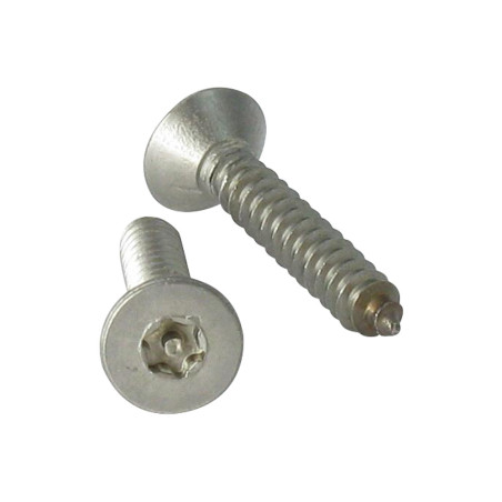 1 x Thread Rolling Screw Security Stainless Steel A2 Countersunk Head T20 with pin 4.2X13