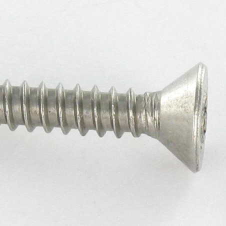 1 x Thread Rolling Screw Security Stainless Steel A2 Countersunk Head T20+TETON 4.2X38