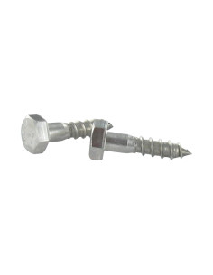 Coach Screw Stainless Steel A2 12X150