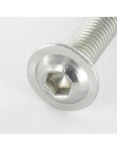 1 x Machine Screw Hex Socket Pan Head Cap...
