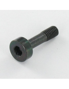 Machine Screw Stainless Steel A2 PASSIVE Black Hexagon...