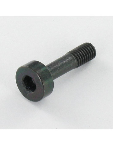 1 x Machine Screw Stainless Steel A2 PASSIVE...