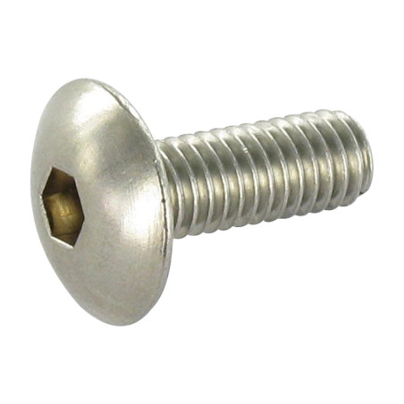 1 x Screw Mushroom Hexagon Socket 4 M6X30 Stainless Steel
