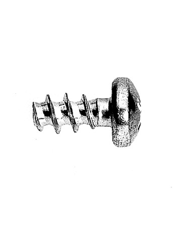 1 x Screw For Plastic wide domed head Pozi And...