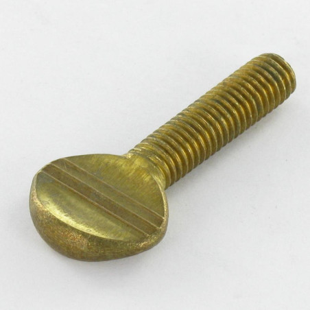 1 x Screw VIOLIN Brass M6X40