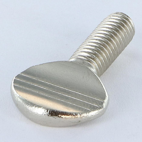 1 x Screw VIOLIN Nickel Plated Brass M8X20