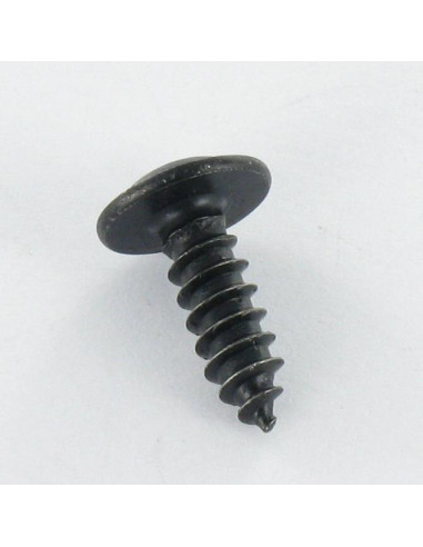 1 x Thread Rolling Screw Mushroom Pozi 4.2X38...