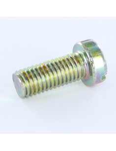 Machine Screw Pan Head Slotted M5X20 Yellow Zinc 2