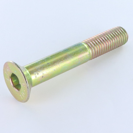 1 x Machine Screw Flat Head Hexagon Recess M10X40 Thread Length: 26 Class 10.9 Hexagon Socket 6 Yellow Zinc