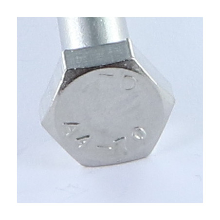 1 x Bolt Partial Thread Hexagonal Head M20X100 Stainless Steel A4