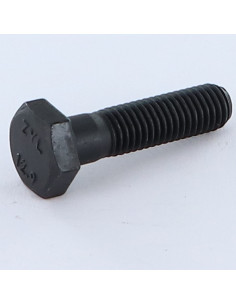 Bolt Partial Thread Hexagonal Head M10X50 Class 12.9 Steel