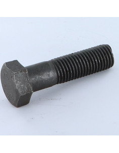 Bolt Partial Thread Hexagonal Head M20X100 Class 8.8 Steel