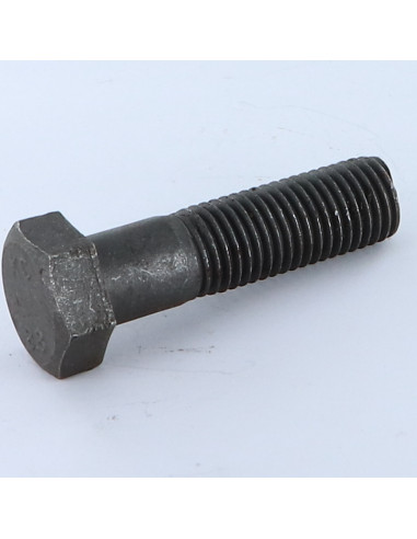 1 x Bolt Partial Thread Hexagonal Head M20X100...