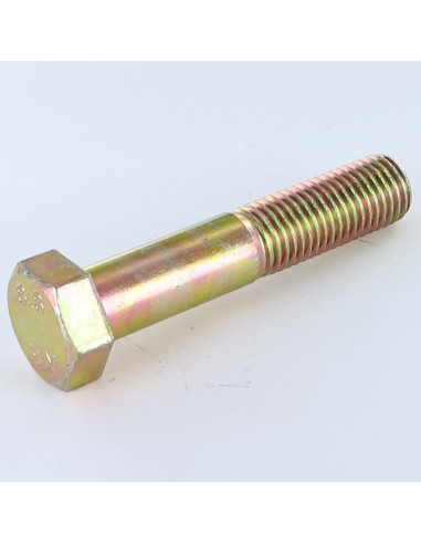1 x Bolt Partial Thread Hexagonal Head M20X65...