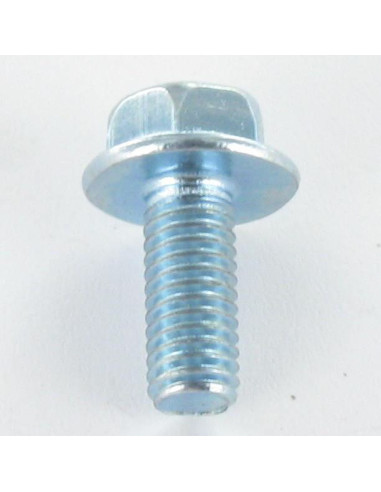 1 x Machine Screw Hexagonal Head M8X20 Flanche...